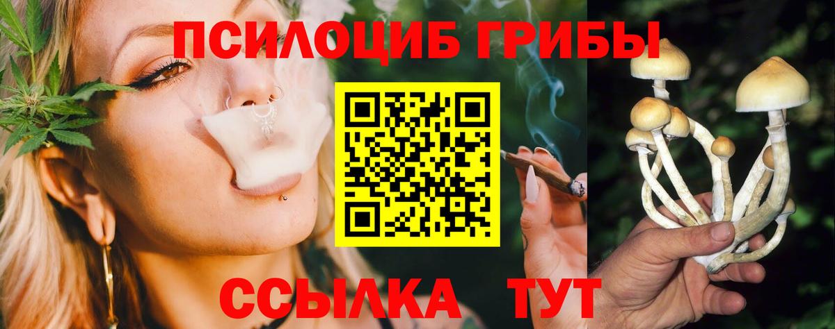 Псилоцибиновые грибы GOLDEN TEACHER  Галлюциногенные грибы Cubensis  Усолье-Сибирское  Вход с VPN 
